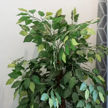 Bright 1bdr Flat In By Lovelystay Αλμπουφέιρα