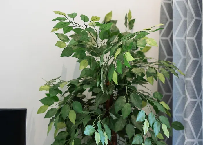 Bright 1bdr Flat In By Lovelystay 알부페이라