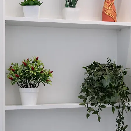 דירה Bright 1bdr Flat In By Lovelystay אלבופיירה